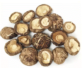 HONGO SHITAKE SECO 500G