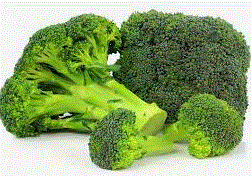 BROCOLI