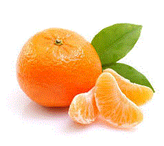 MANDARINA