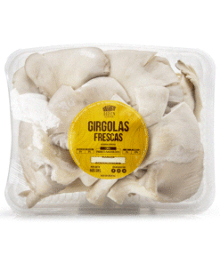 MAC GIRGOLAS FRESCAS