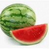 SANDIA X KG
