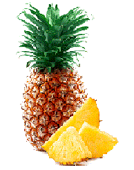 DON JAIME ANANA UNIDAD