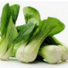 AOKI PAK CHOI