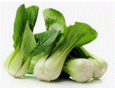 AOKI PAK CHOI