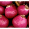 CEBOLLA COLORADA