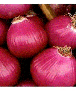 CEBOLLA COLORADA