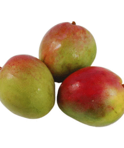 ALEXPORT MANGO X KG