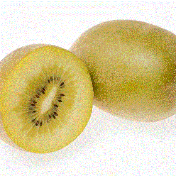 LIFE SPAN KIWI X KG