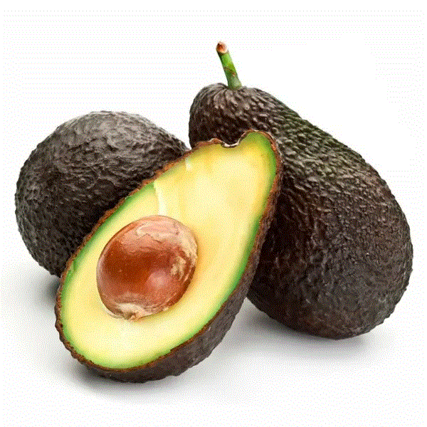 PALTA UNIDAD
