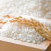 SEOUL ARROZ 00000 1KG