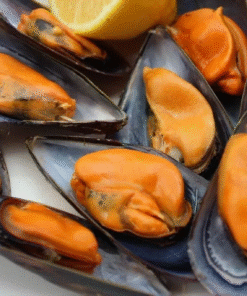 MELBA MEJILLONES JUGOSAS CHILENAS