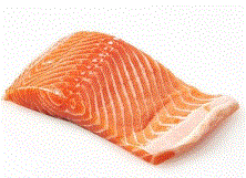 SALMON X KG