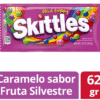 SKITTLE WILD BERRY 61G