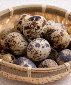 메추리알 HUEVOS DE CODORNIZ