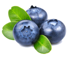 PURO DELICIO ARANDANOS 125G