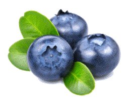 PURO DELICIO ARANDANOS 125G