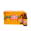 KWANGDONG VITA500 100ML X10 PA