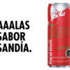 RED BULL RED EDITION SANDIA